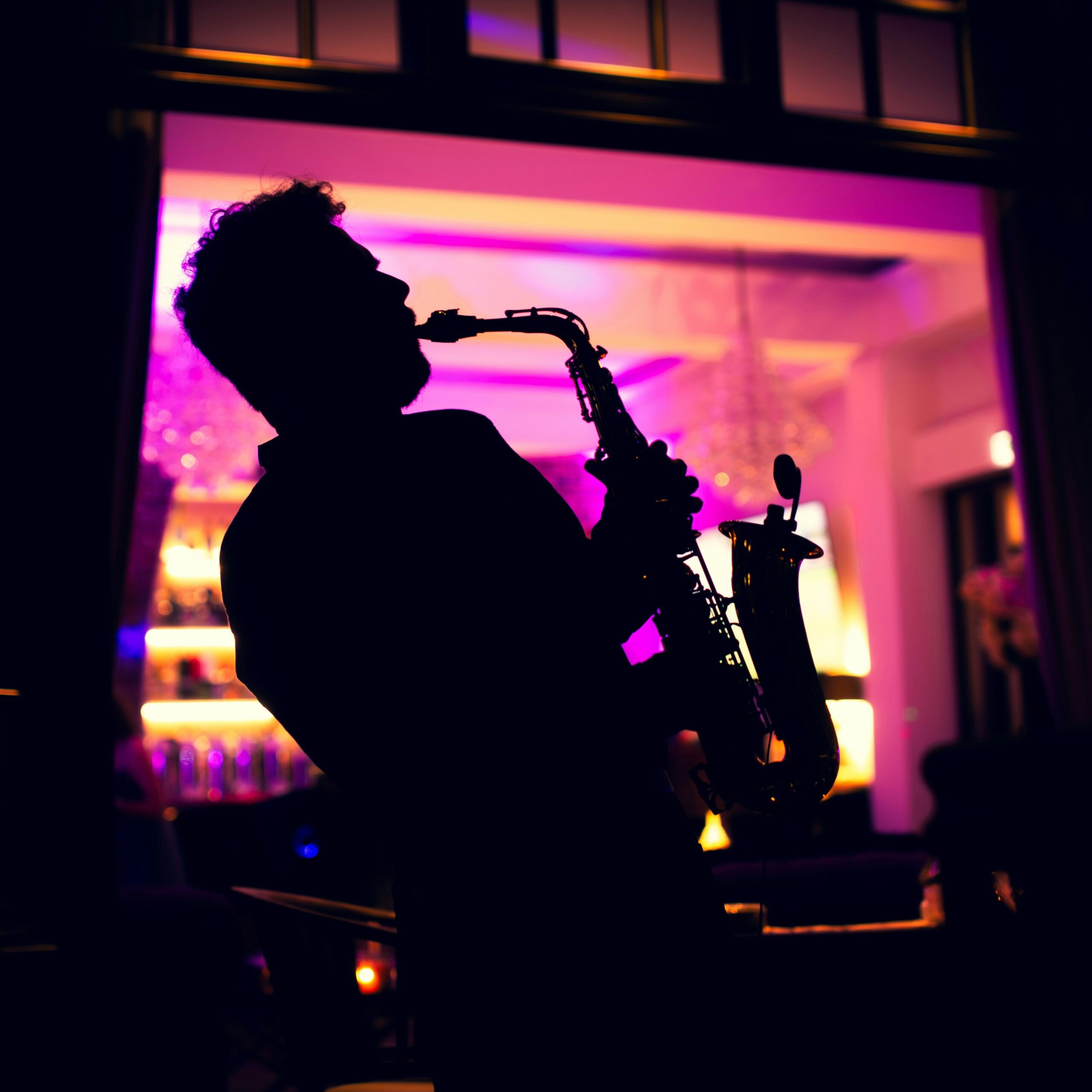 Saxofonist Boeken Arnhem Nijmegen Apeldoorn Tiel Den Bosch Oss Elst Duiven Zevenaar